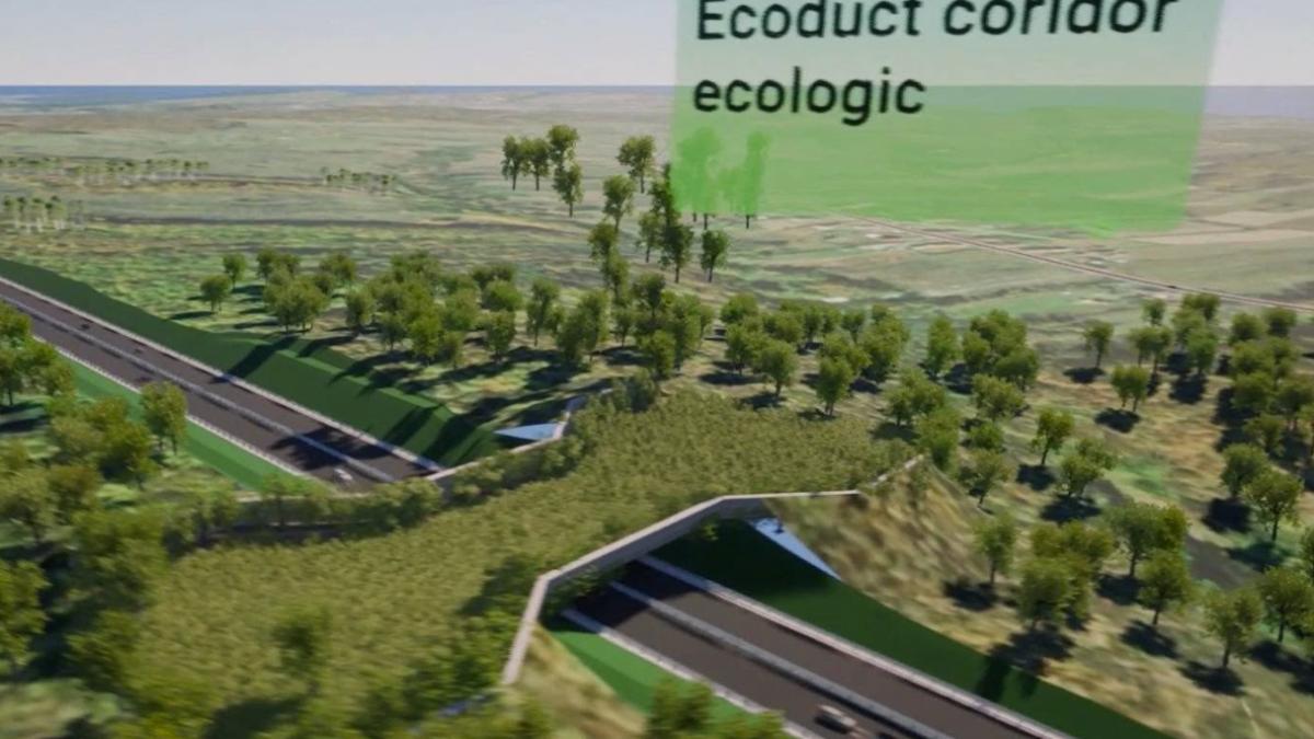 cum va arata lotul 6 al drumului expres craiova targu jiu va avea aproape 20 de kilometri si va include un ecoduct