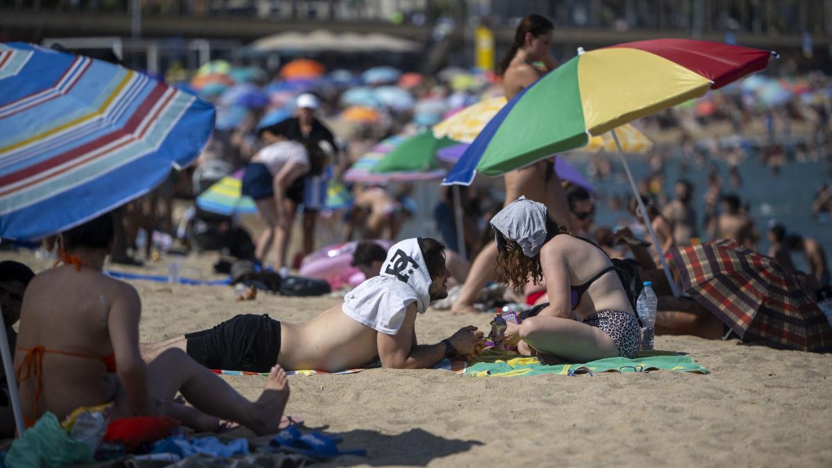cum va fi vremea in luna august anm a emis prognoza pentru urmatoarele patru saptamani
