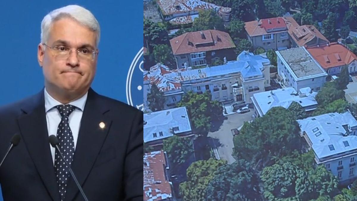 Dragos Pislaru Vile Kiseleff