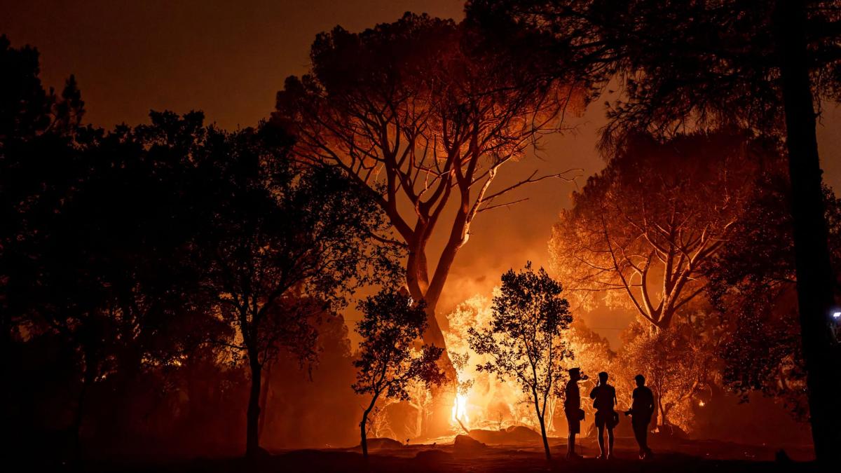 alti 40 de pompieri romani pleaca in franta pentru a ajuta la stingerea incendiilor uriase de vegetatie