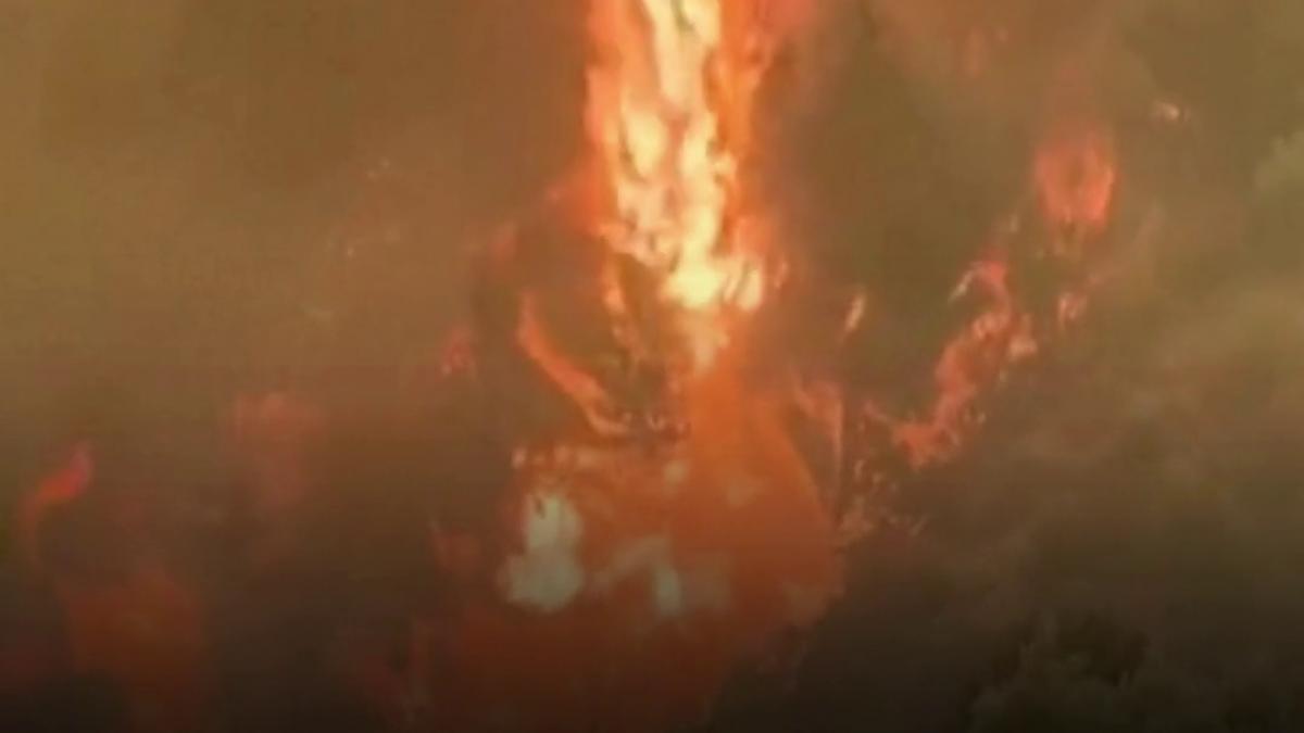 incendiu de vegetatie in sud vestul turciei un spital a fost evacuat preventiv