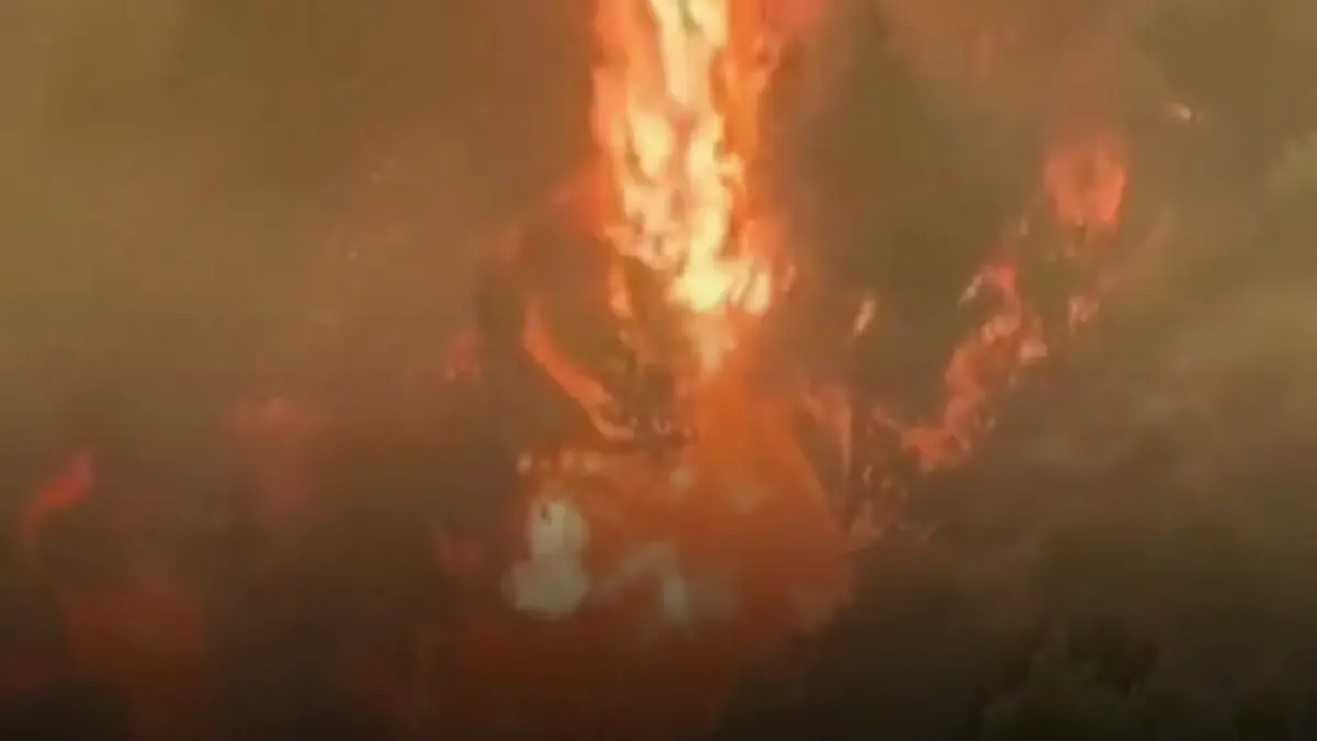 incendiu de vegetatie in sud vestul turciei un spital a fost evacuat preventiv