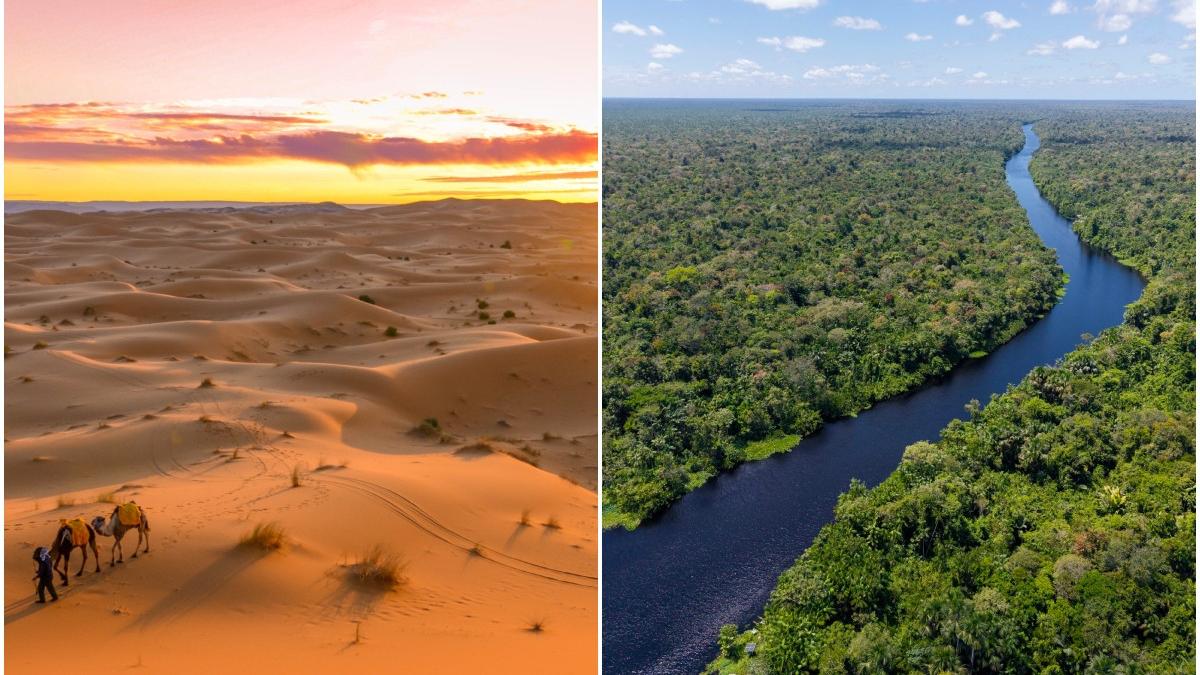 sahara trimite 27 de milioane de tone de praf peste atlantic in fiecare an efectul asupra amazonului este uimitor