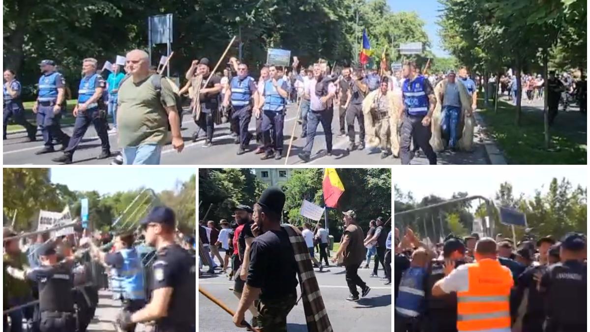 fermierii protesteaza in bucuresti acuza ca sunt in pragul falimentului dupa ce s a interzis exportul de oi si capre