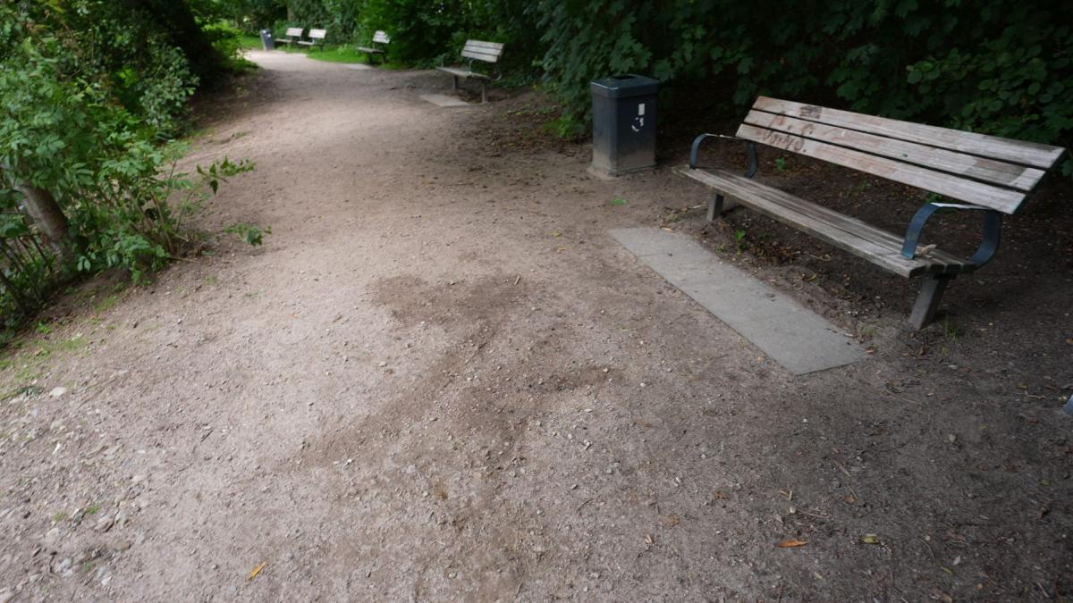 banca pe aleea unui parc
