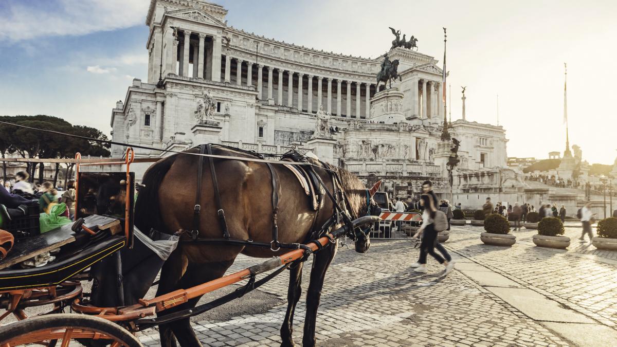 trasura cu cai roma getty