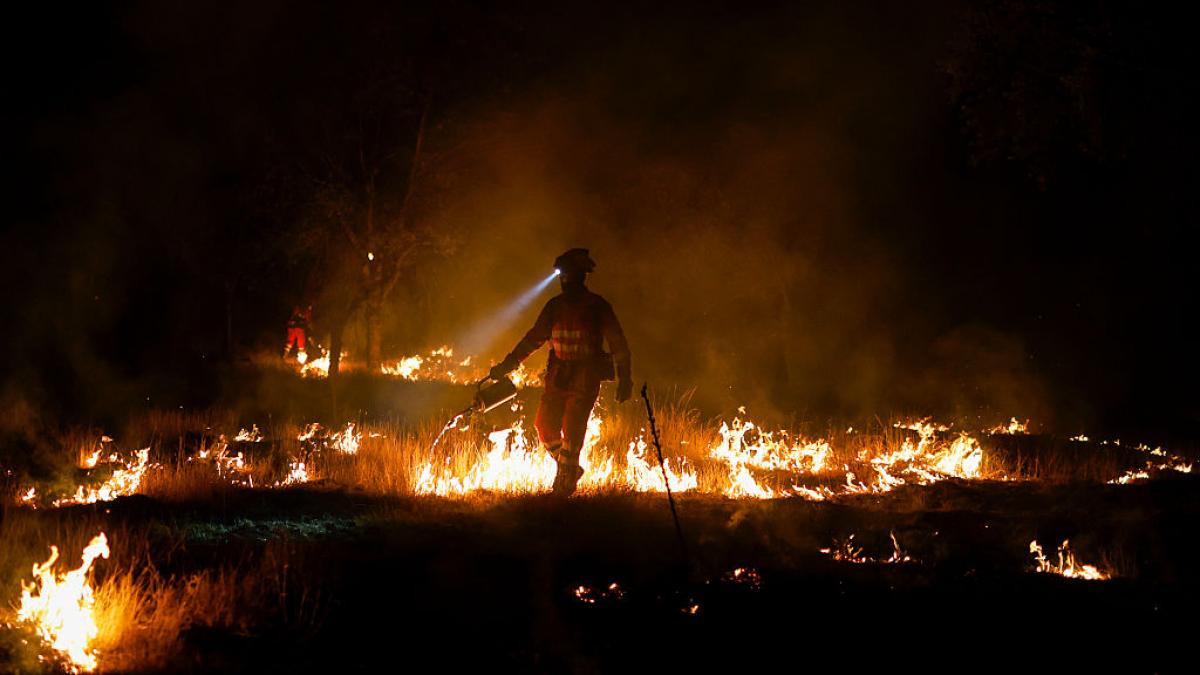 costurile incendiilor de vegetatie din europa au depasit deja 3 miliarde de euro in acest an