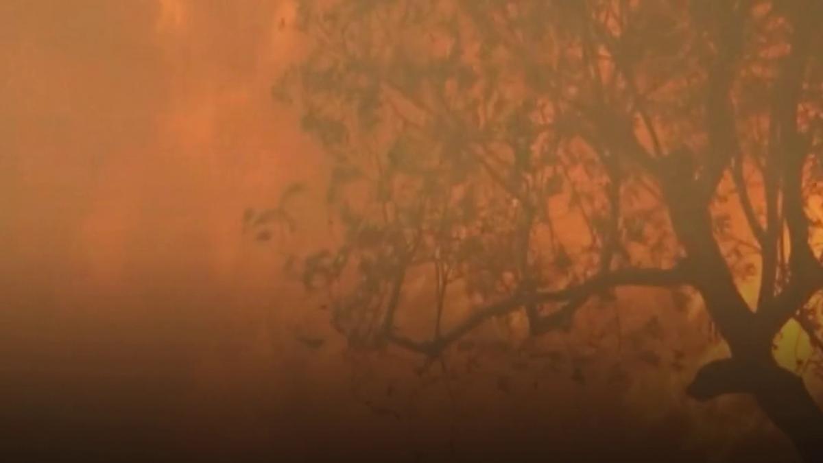un megaincendiu din grecia a mistuit o suprafata dubla fata de manhattan insula kefalonia a fost evacuata