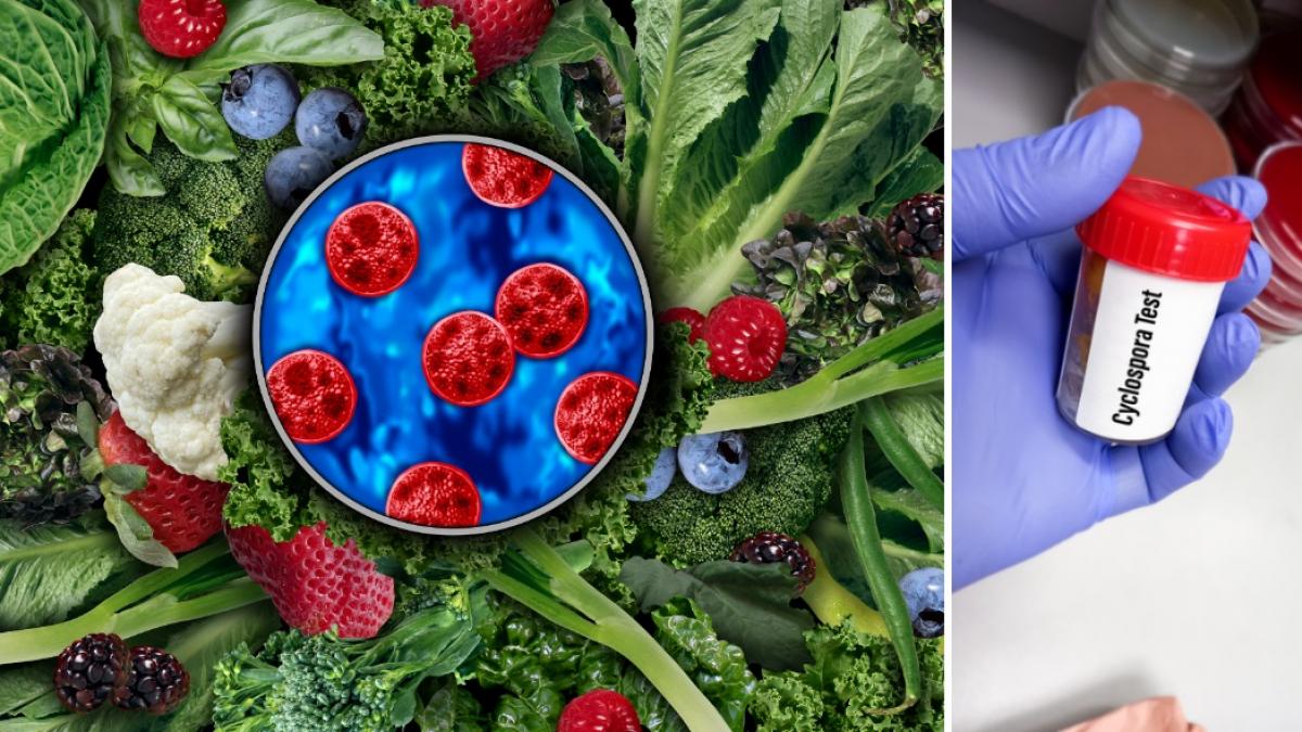 epidemia de ciclosporiaza din sua a facut primele victime doi oameni au murit in michigan