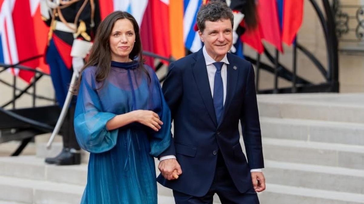 ce avere are mihaela gradinaru declaratia sa a fost facuta publica nicusor dan pentru a inlatura orice speculatii