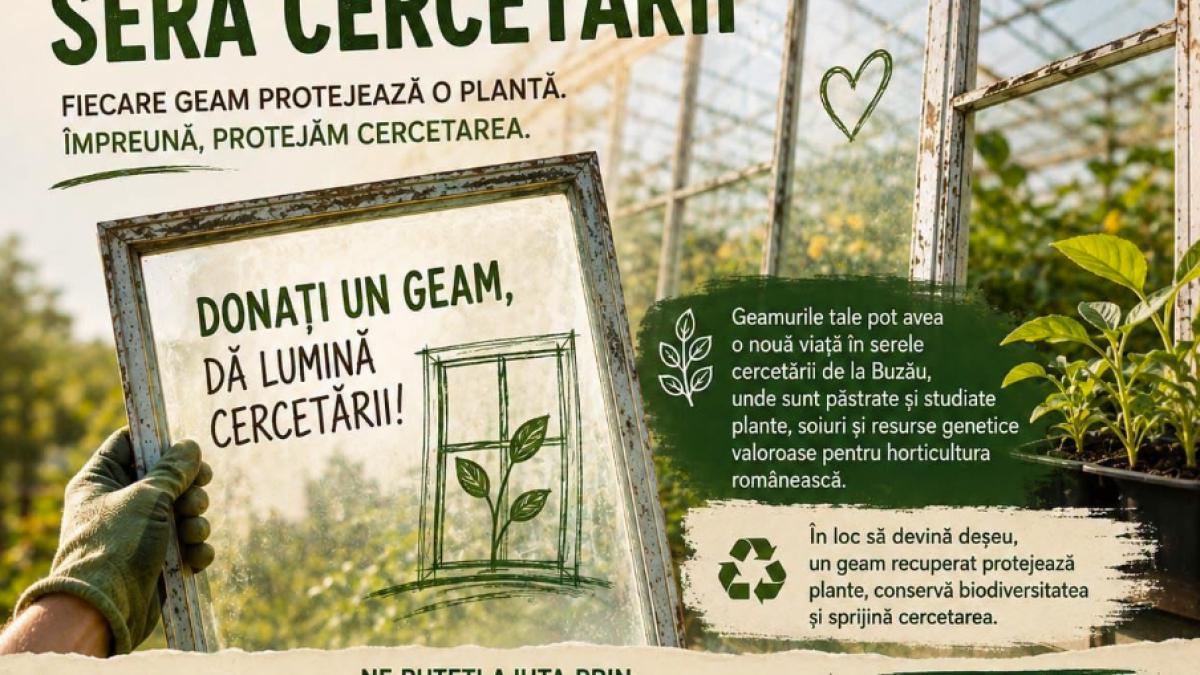 apel donatii geamuri