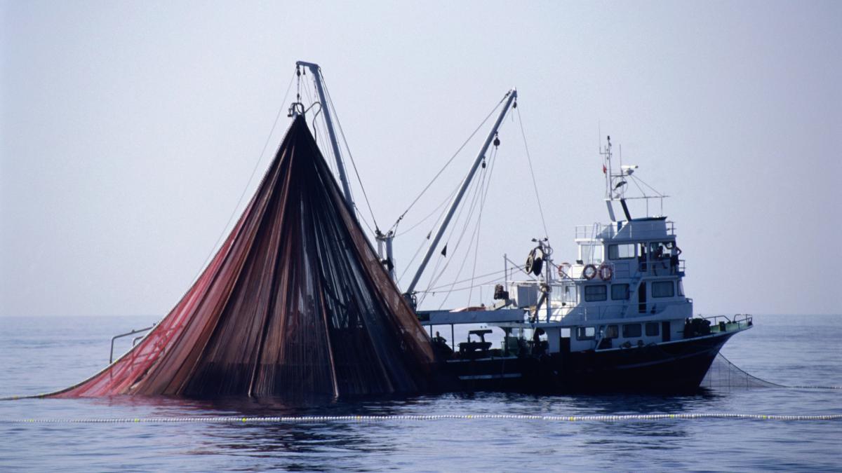 navele de pescuit ale turciei matura fundul apelor grecesti grecia acuza ca distrug ecosistemul