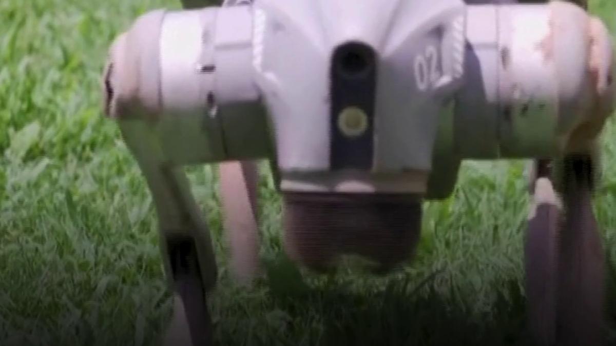 caini roboti in locul agentilor de paza noua solutie de securitate din atlanta