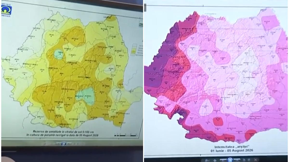 harta secetei care topeste porumbul si floarea soarelui limita de temperatura suportata a fost depasita urmeaza sase zile de arsita