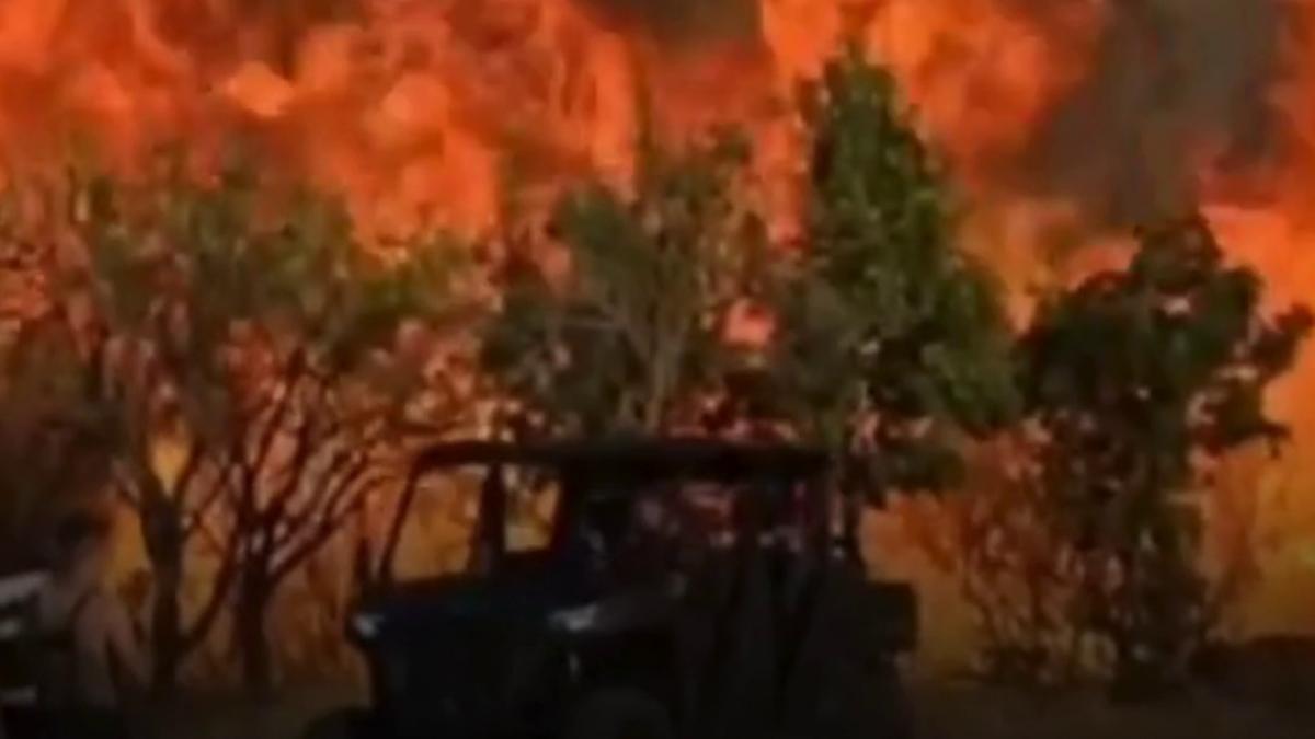 ne e frica sa nu ajunga focul la case incendiile de vegetatie fac ravagii in toata tara