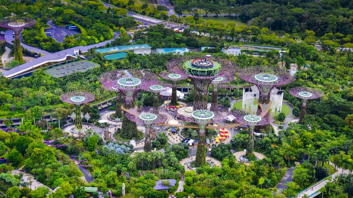 singapore planteaza 1000000 de copaci ca sa racoreasca strazile dar cel mai mare impact va fi de fapt in facturi la aer conditionat