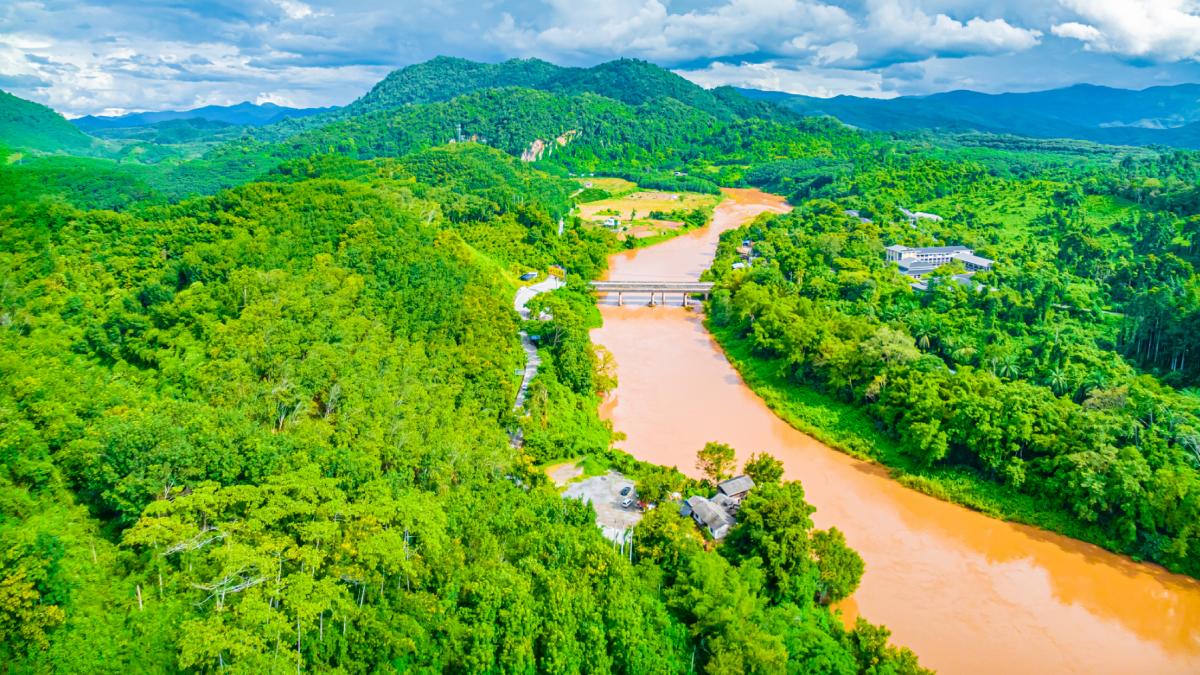 in 2003 china a plantat mici insule de copaci langa un rau degradat dupa 20 de ani refacerea padurii tropicale e surprinzatoare
