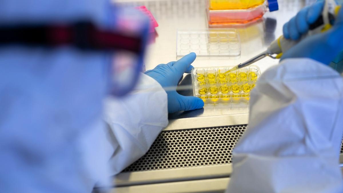 premiera cercetatorii au creat in laborator primii virusi proiectati cu ajutorul ai e ingrijorator
