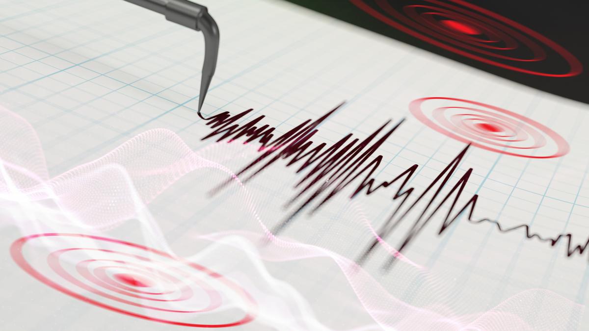 poza in care apare un seismograf