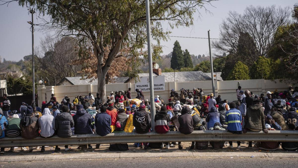 migranti africa de sud hepta