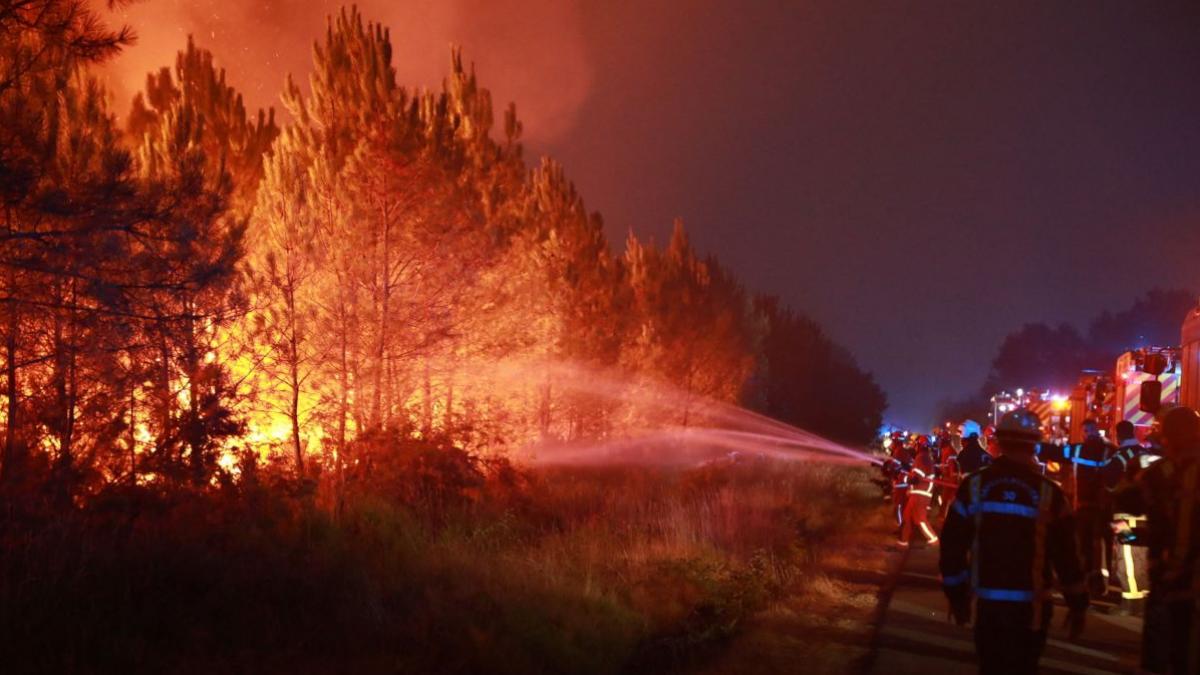 pompieri sting un incendiu de pădure