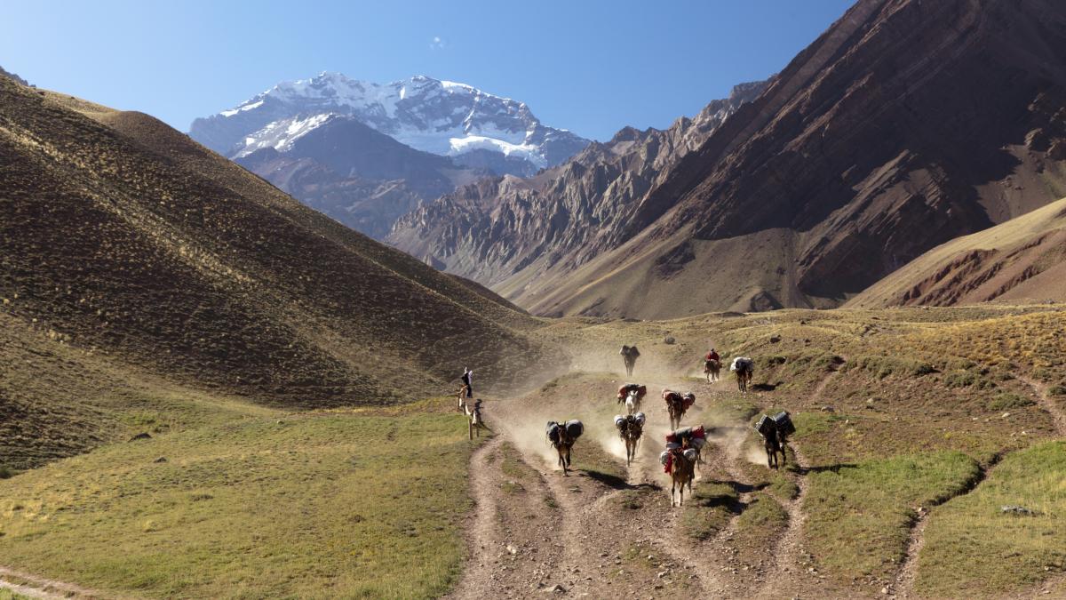 mendoza, argentina
