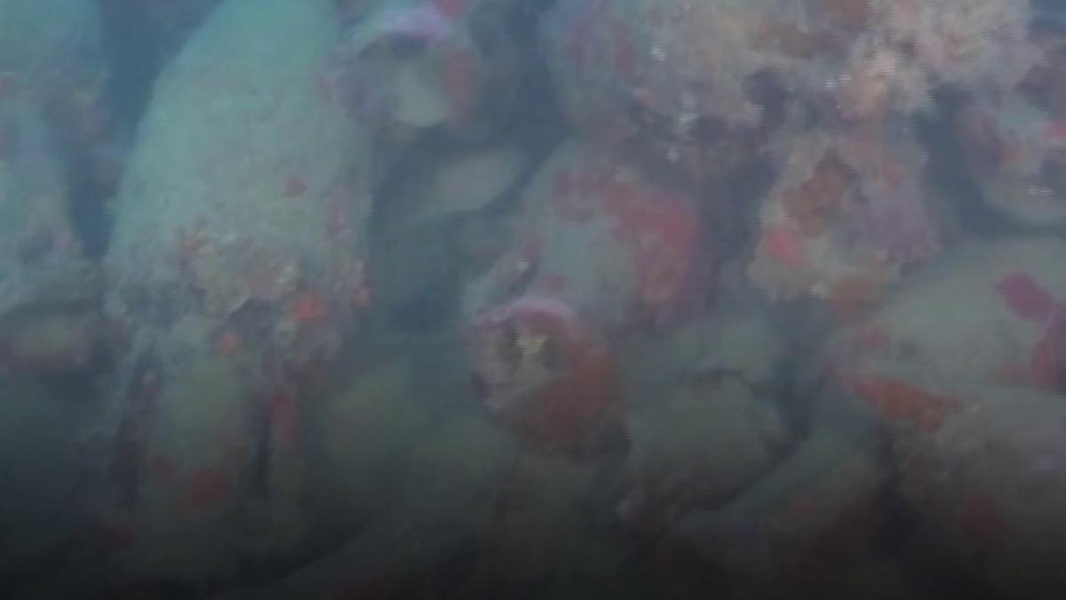 imagini spectaculoase cu o epava romana antica descoperita in largul coastei siciliei sute de amfore erau aproape intacte