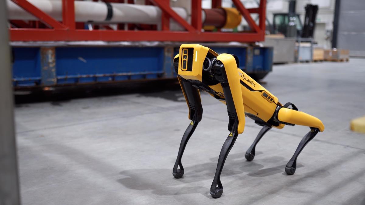 caine robot