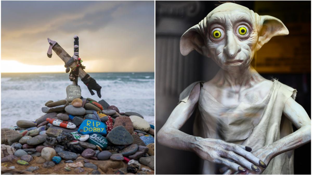 mormantul lui dobby a oprit traseul unui proiect energetic de 430 de milioane de lire fanii harry potter au dat sute de telefoane
