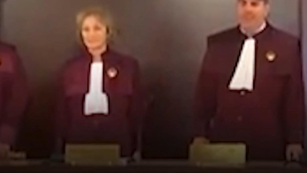 nicusor dan a atacat legea ani la ccr sesizarea vizeaza amendamentul aur referitor la averile partenerelor si amendamentul fritz