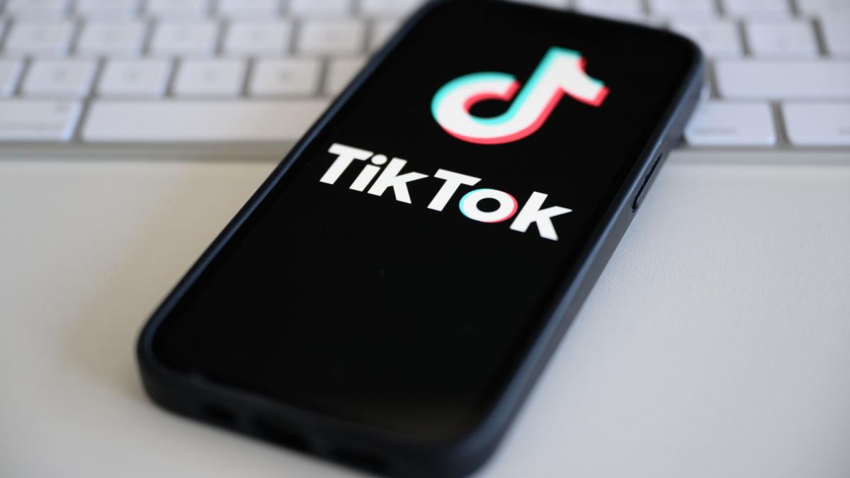 usr nu este de acord cu interzicerea tiktok propusa de colegii de la pnl