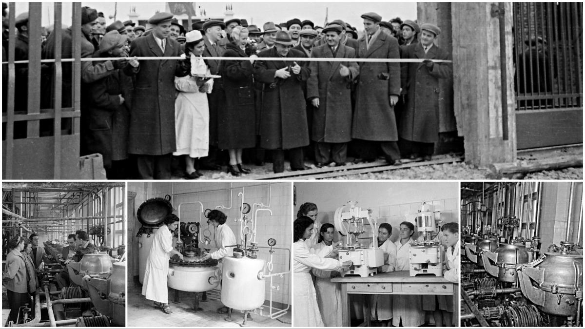 in 1955 se deschidea prima fabrica de penicilina din romania si sud estul europei cum arata la inaugurare si istoria antibiotice iasi