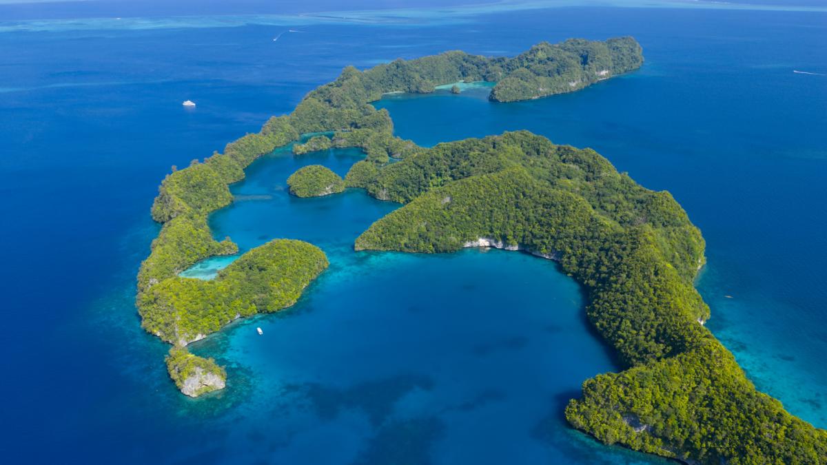 in 2024 palau a eliminat sobolanii de pe insula ulong in doar un an biomasa pestilor a crescut cu 183 iar azotul din frunze cu 80