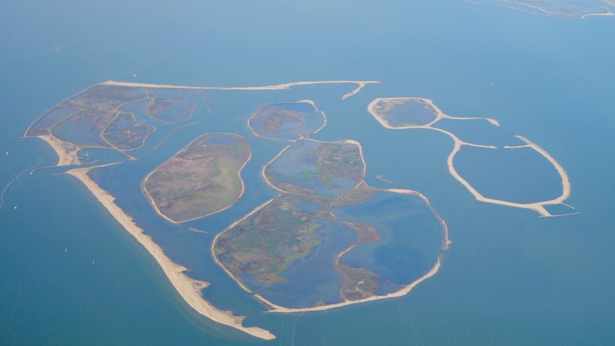 olanda a folosit 37 000 000 de tone de sedimente dintr un lac pentru a construi insule habitatele artificiale atrag acum mii de pasari