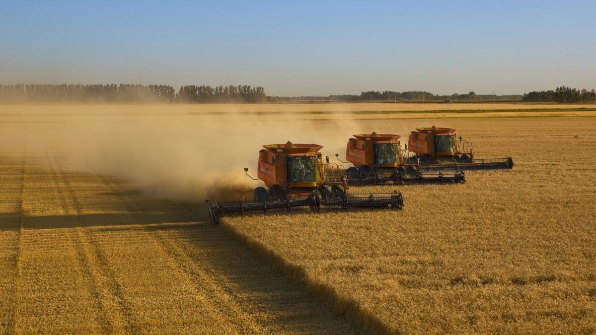 ucraina a cerut uniunii europene o subventie de preste 200 de milioane de euro pentru agricultorii sai