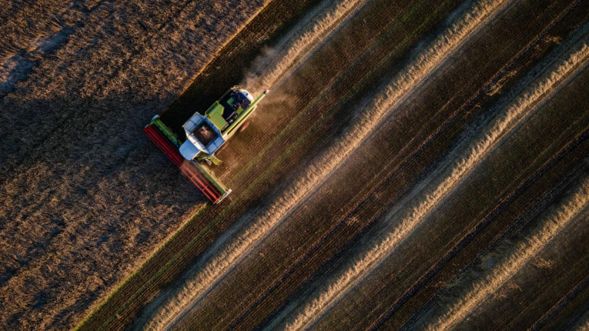 cosmarul fermierilor ucraineni recolta din acest an a fost peste asteptari dar nu au unde sa vanda cerealele din cauza blocadei ruse