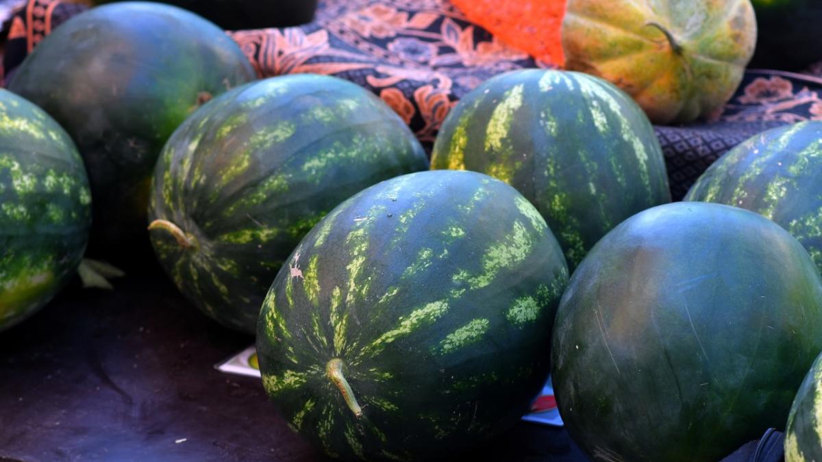 cum alegi pepenele verde perfect cele cinci lucruri pe care sa le verifici inainte de a l cumpara