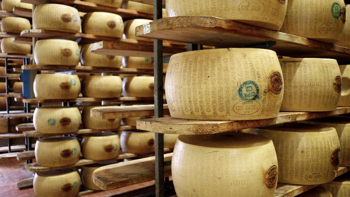 valurile de caldura ameninta bancile de branza din italia vitale pentru celebrul parmigiano caldura extrema incepe in grajd