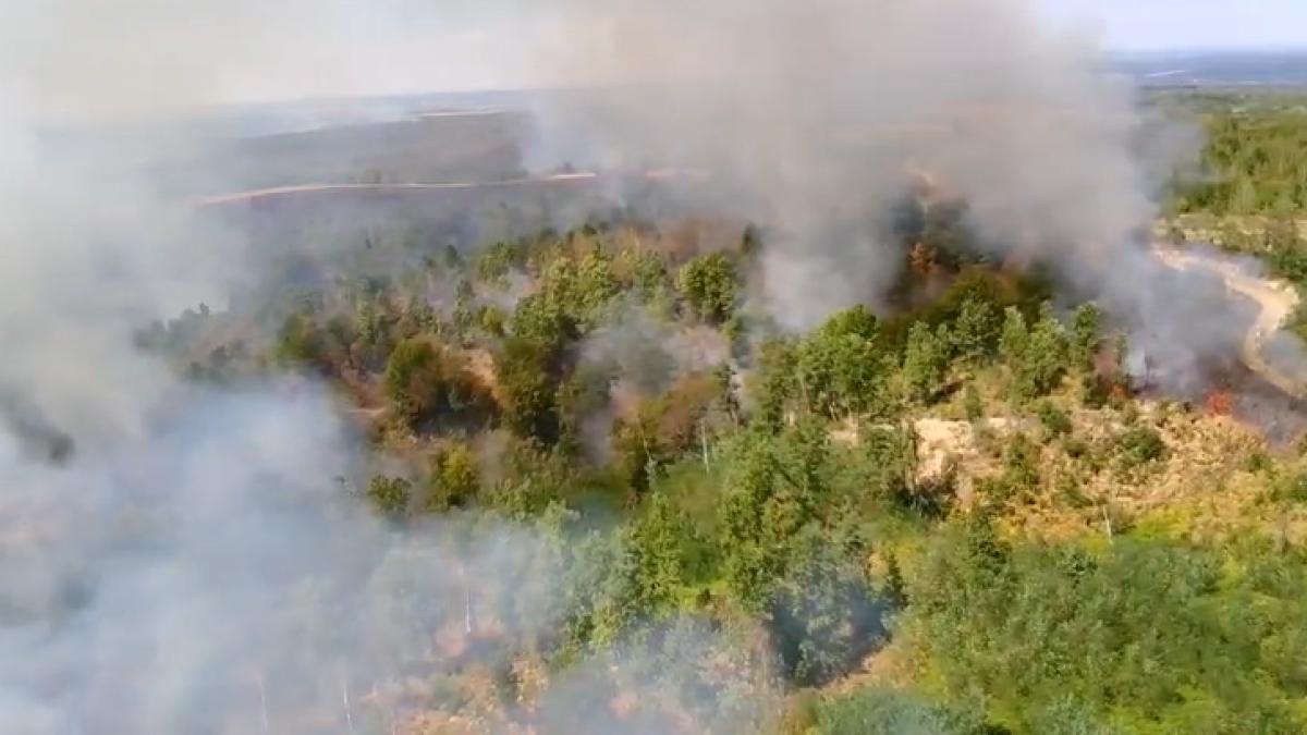 incendii de vegetatie in mai multe localitati din timis 50 de pompieri incearca sa stinga flacarile