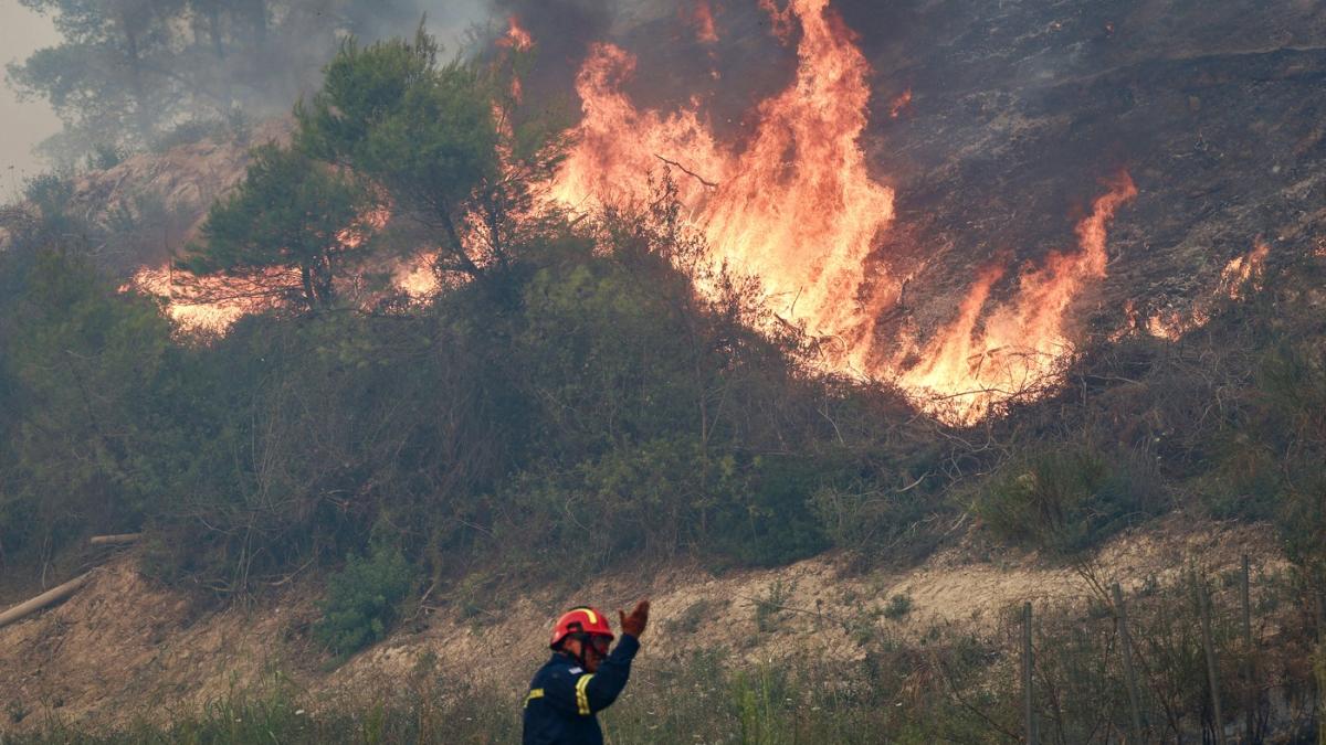 incendii pe insula salamina din grecia in apropiere de atena doi oameni au murit si alti noua sunt raniti sute sunt evacuati