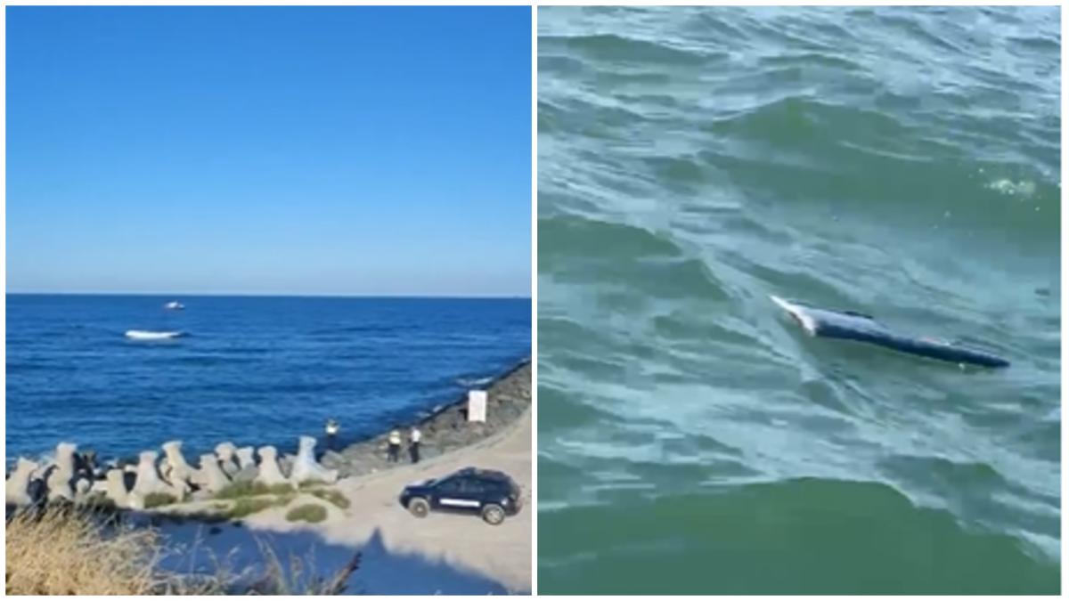 obiecte suspecte in portul tomis din constanta si la eforie nord la 1 5 km de tarm ar fi o drona navala autoritatile intervin