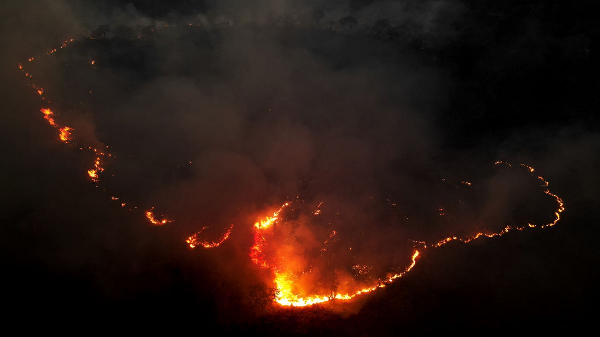 incendiu in padurea amazoniana