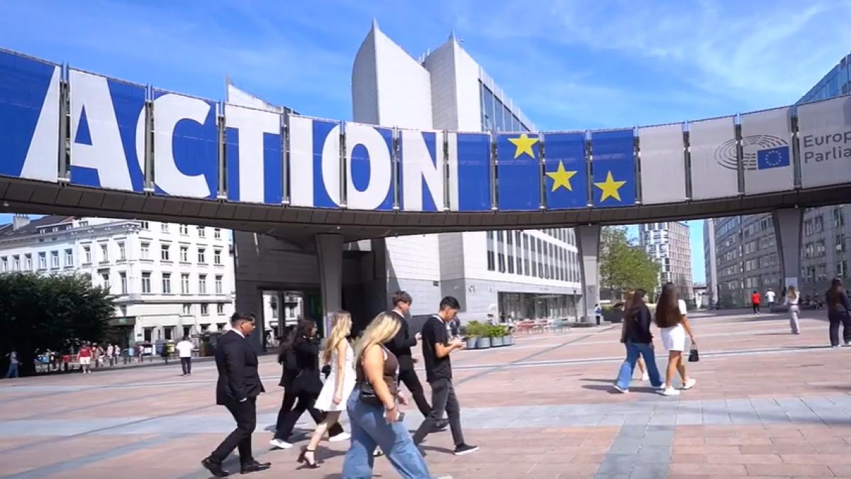 de la berlin la bruxelles 16 tineri din alexandria descopera europa prin programul l o c a l eu
