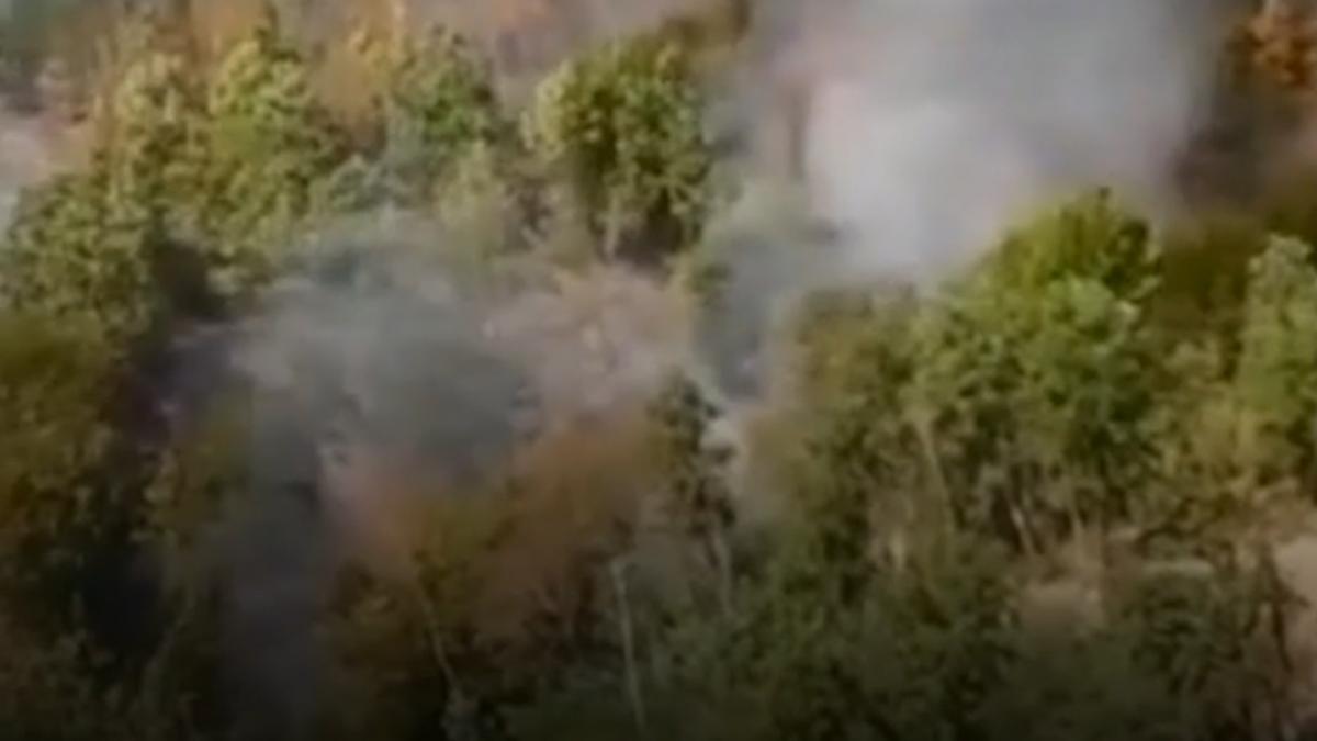incendii de vegetatie in mai multe localitati din timis 80 de hectare de vegetatie s au facut scrum