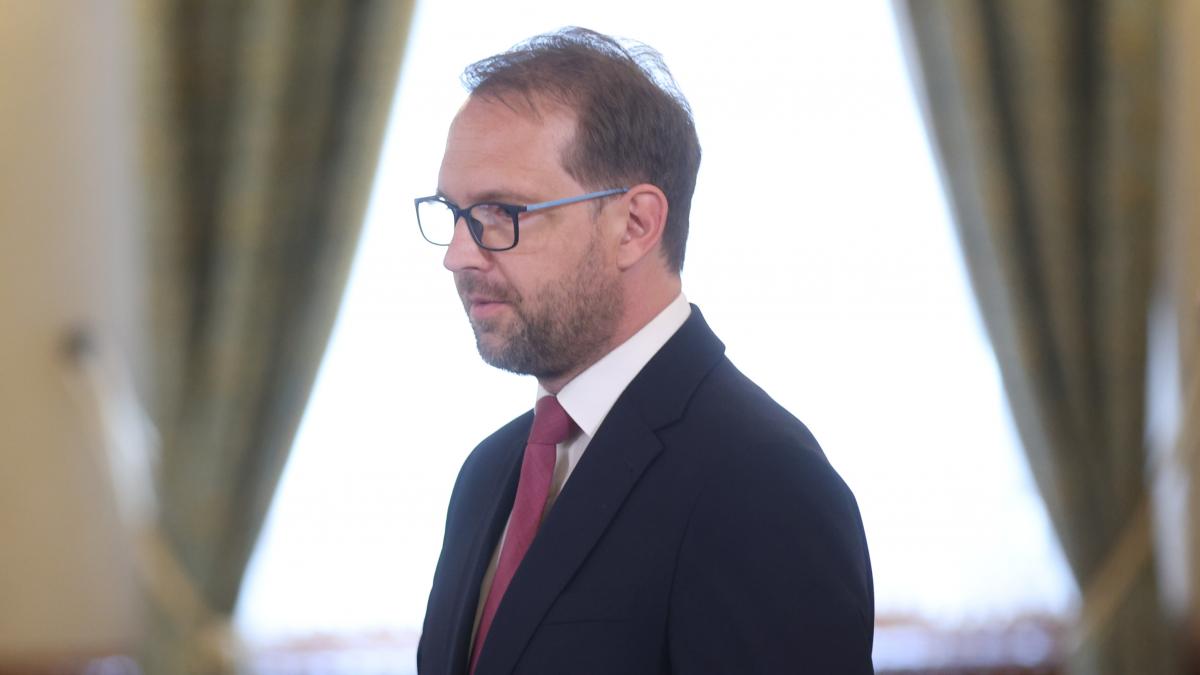 diana buzoianu spune ca dominic fritz trebuie sa ramana presedintele usr si dupa ce isi va pierde mandatul de primar