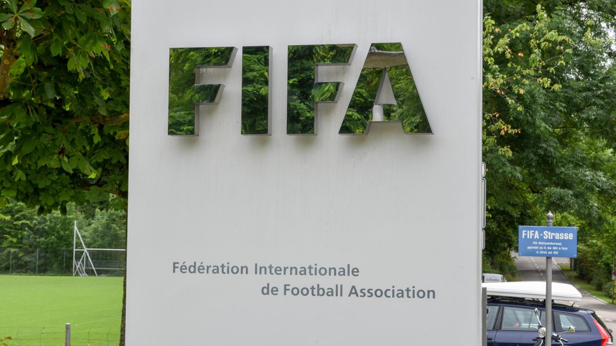 fifa