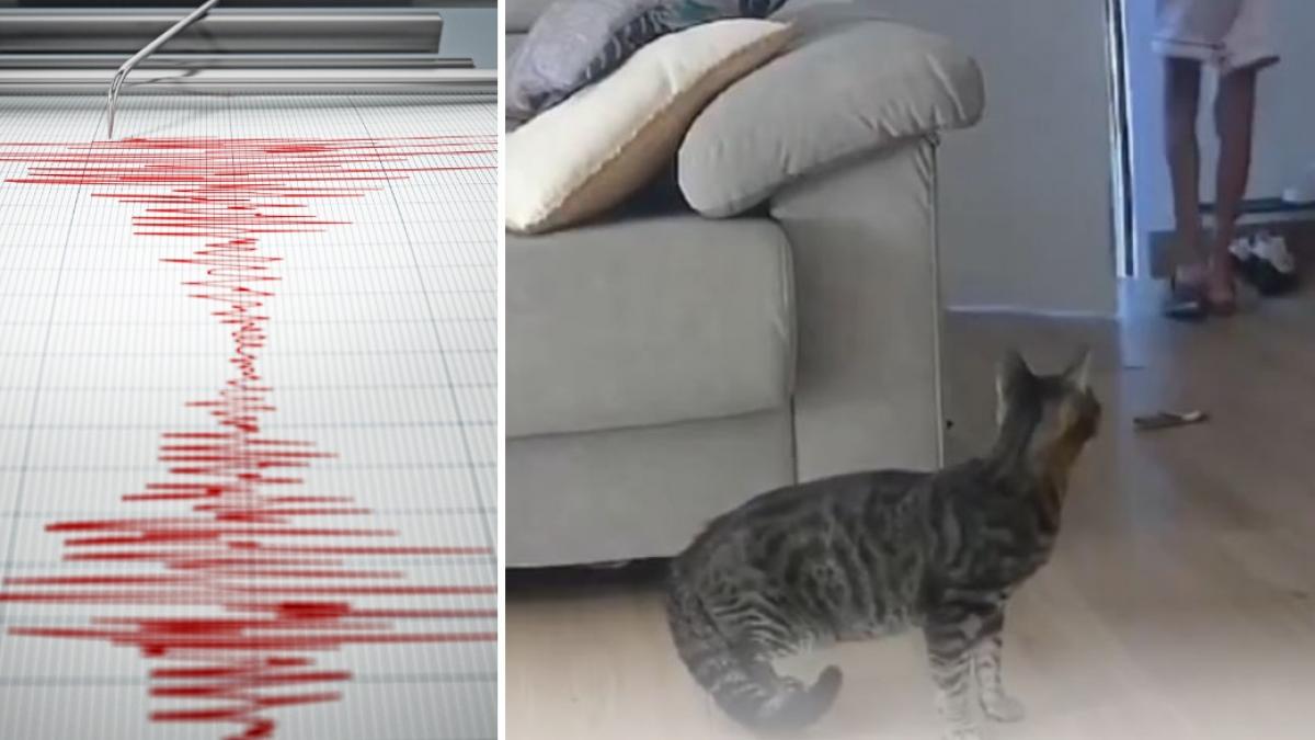 spania zguduita de un nou cutremur un seism cu magnitudinea 4 8 s a produs in granada marti