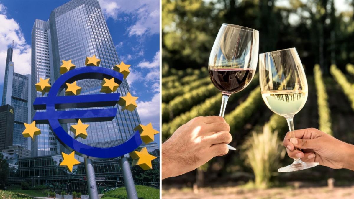 adjud a semnat contractul pentru promovarea turismului vitivinicol din vrancea cu fonduri pnrr