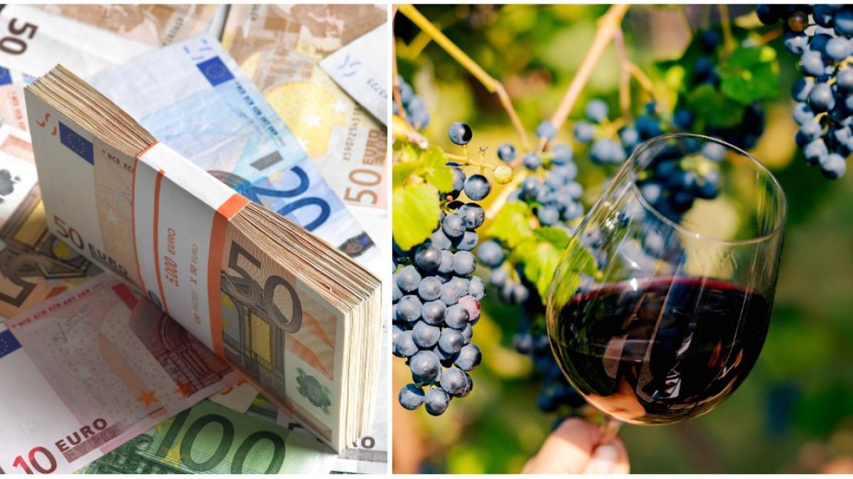 colaj 2 poze in care apar bancnote de euro, struguri si un pahar cu vin rosu