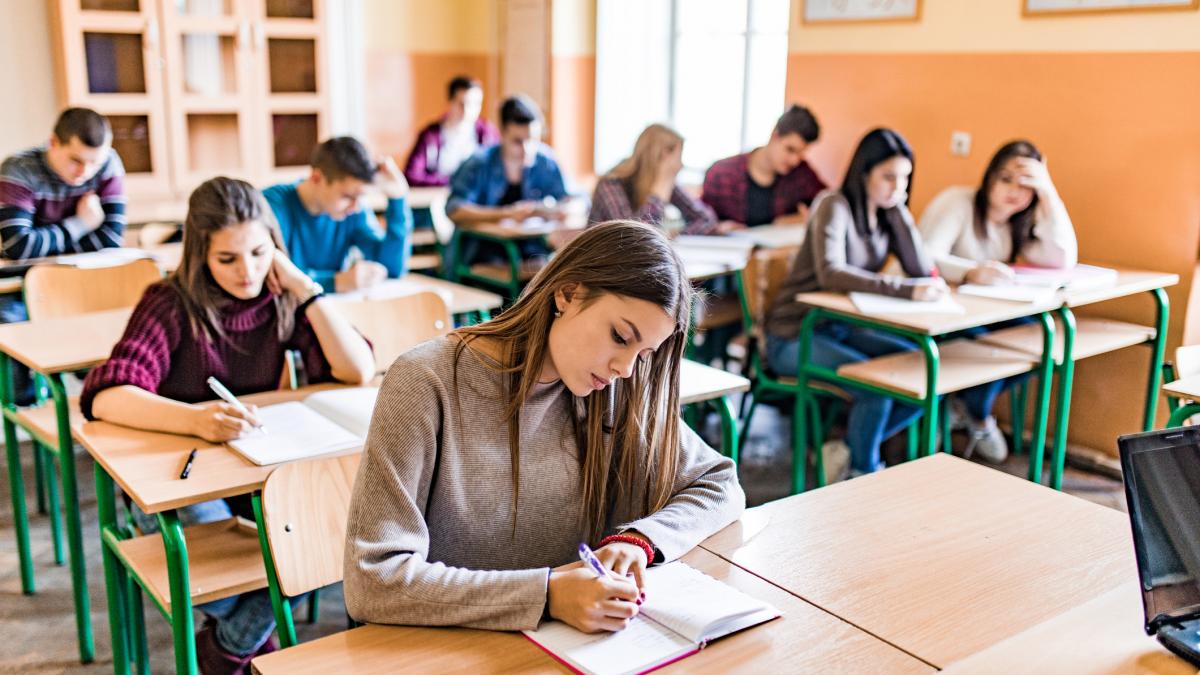 psd pnl si usr anunta ca se opun examenelor de admitere la liceu dupa scandalul generat de ordinul ministrului dimian